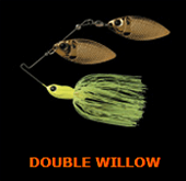 DW