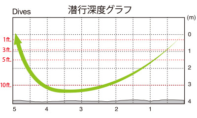 ss1