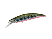 Spearhead Ryuki ADA4068 Yamame Red Belly