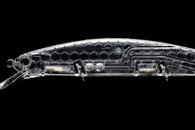 varuna110f l 2